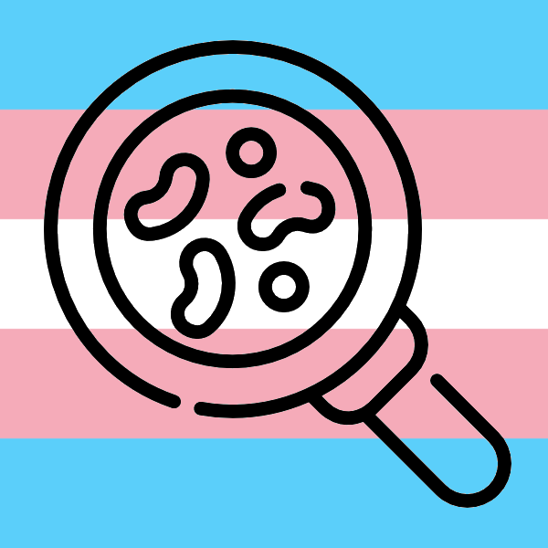 The icon of the Transbiome project - A magnifying glass in front of the transgender flag