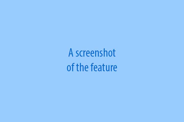 An alternative text describing the image for screenreaders