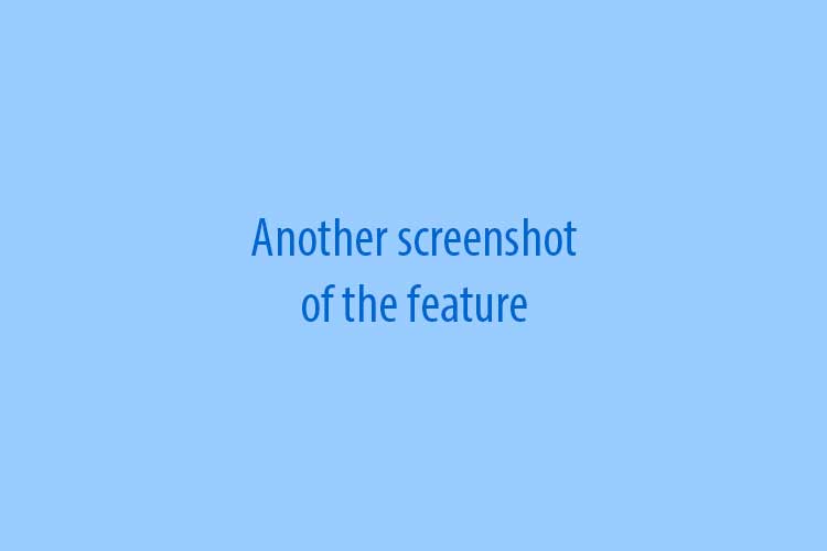 An alternative text describing the image for screenreaders